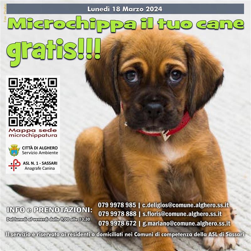 Microchippatura gratuita dei cani ad Alghero il 18 marzo: come prenotarsi