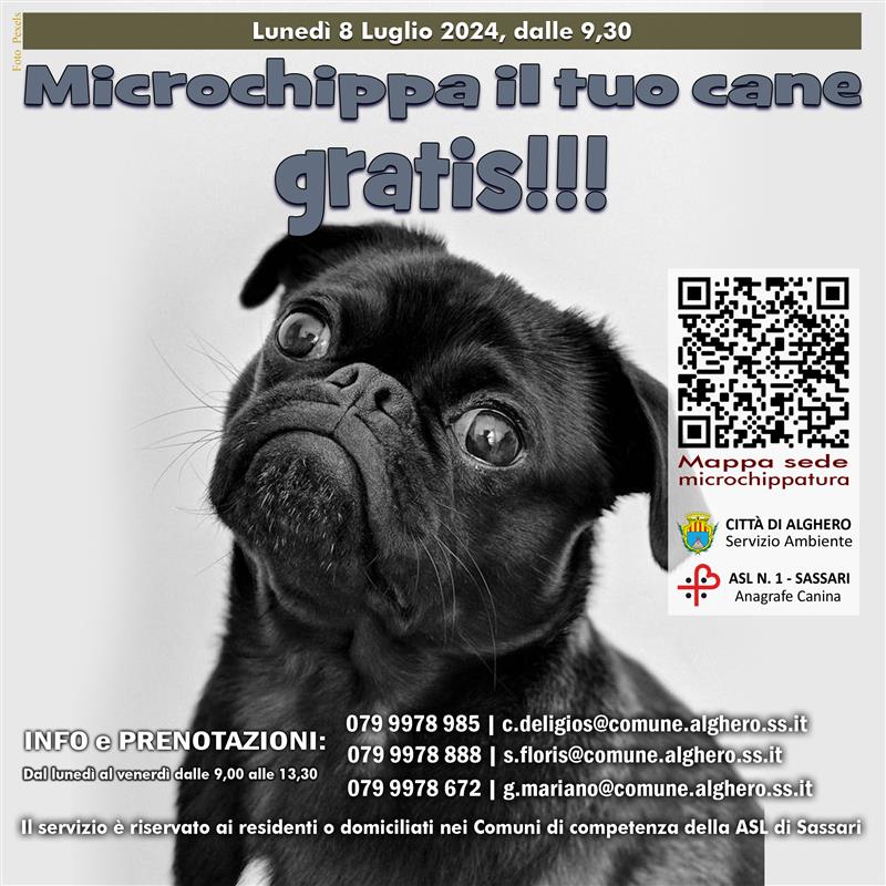Alghero: Nuovo appuntamento per la microchippatura gratuita dei cani