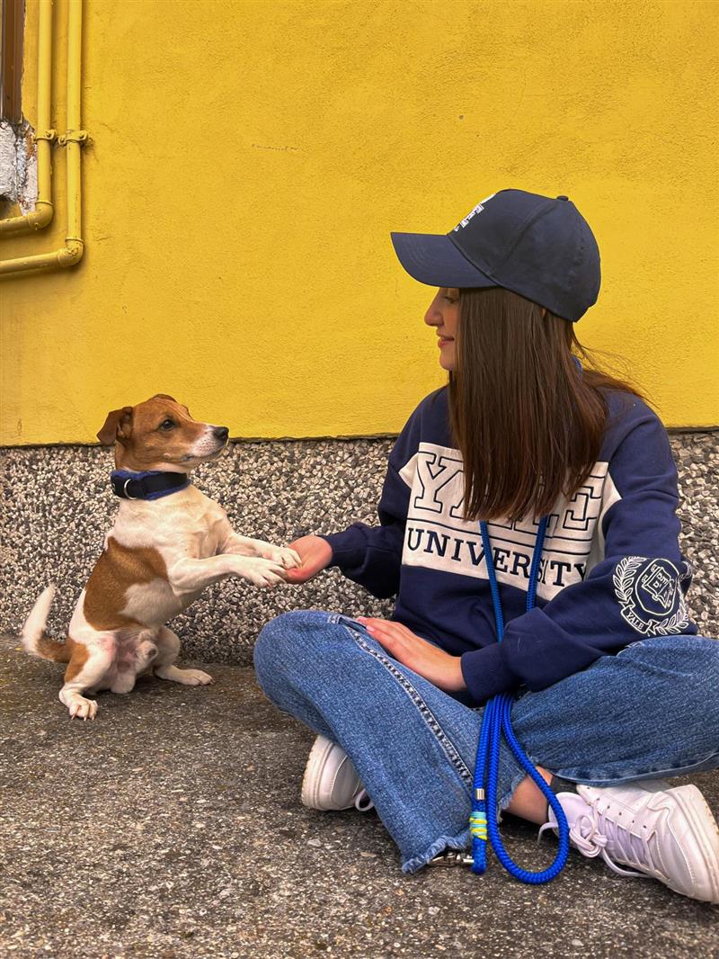Educazione canina e responsabilità: Intervista con Chiara Ariu sull'Importanza della formazione per proprietari di cani