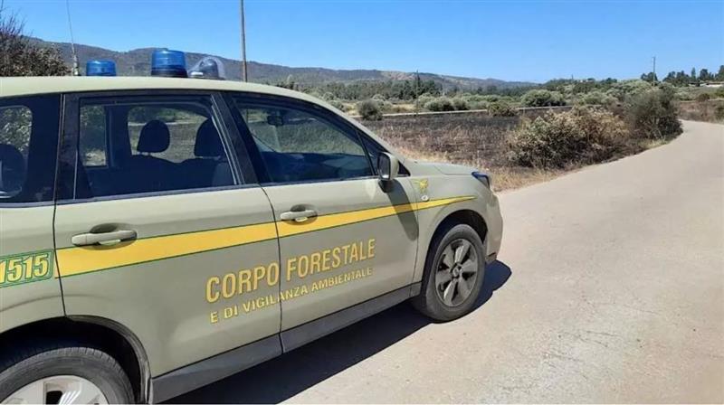 Operazione “Buone Feste”: sette denunce e un bilancio che fa riflettere