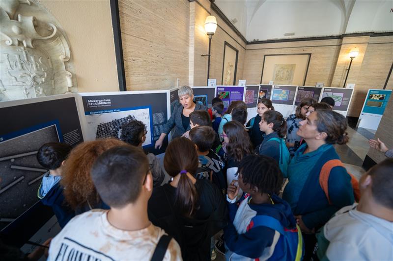 Microrganismi straordinari: Inaugurata la mostra celebrativa a Sassari