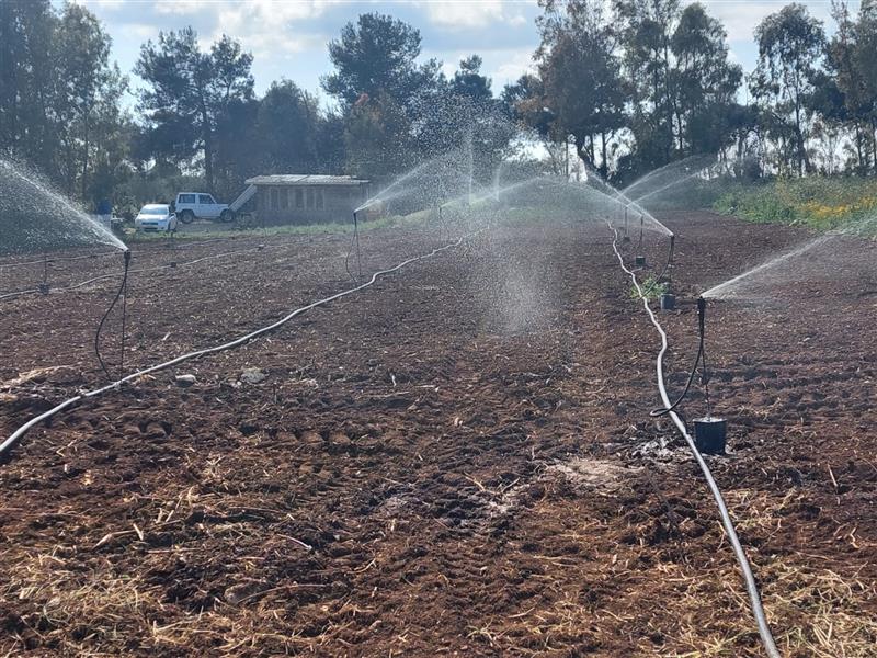 Storico passo avanti per l’irrigazione della Nurra: via libera ai reflui del depuratore di Sassari, ma Piana e Ruggiu avvertono: “serve l’utilizzo completo del bacino del Cuga”