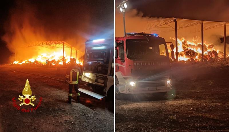 Fienile in fiamme ad Arborea: venti vitellini morti in un incendio devastante