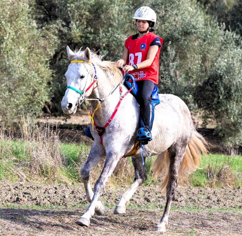 Endurance: a Genuri nella 5^ tappa della Coppa Sardegna, vittorie di Mallei, Delinna e Sanna