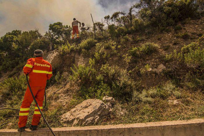 Forestas, lo SNAF sulla stabilizzazione: "La sentenza conferma la nostra battaglia"