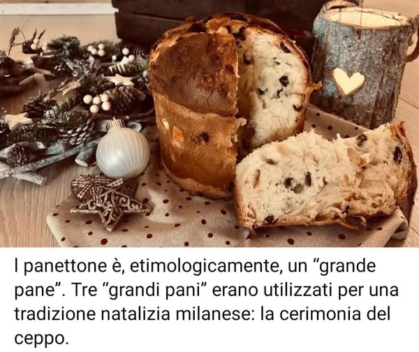 Il Panettone nato da una storia d