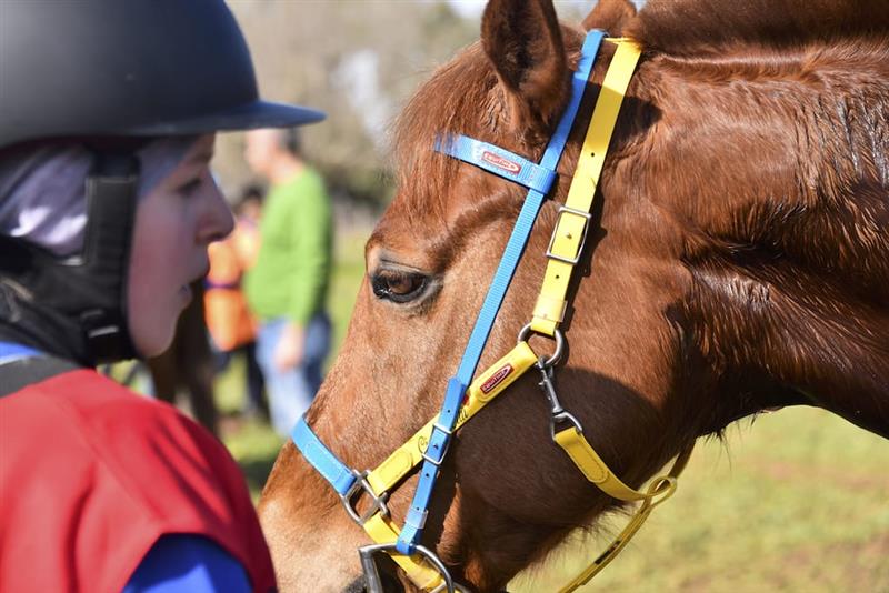 Porto Torres, la resistenza equestre dei più giovani: prima tappa del Campionato Regionale Pony