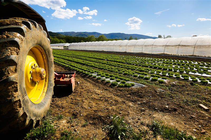 Agricoltura: menzione speciale alla Sardegna per l’agrobiodiversità