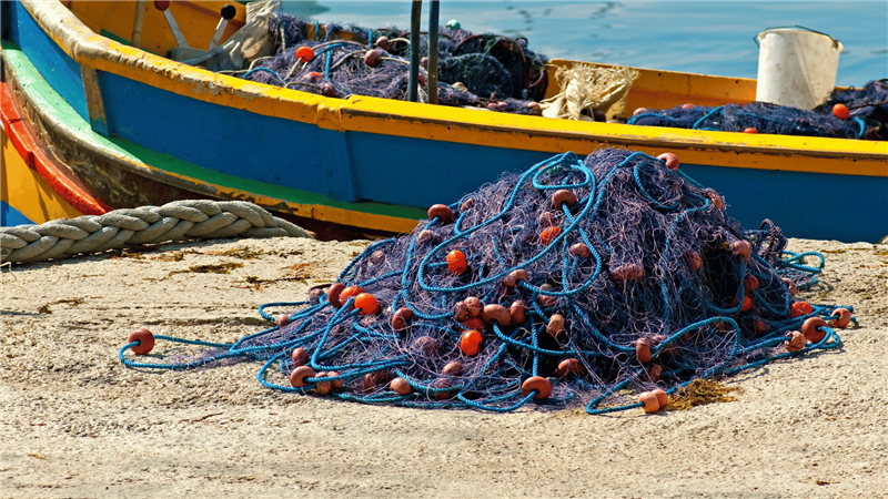 Pesca lagunare in Sardegna: un settore in lotta per la sopravvivenza