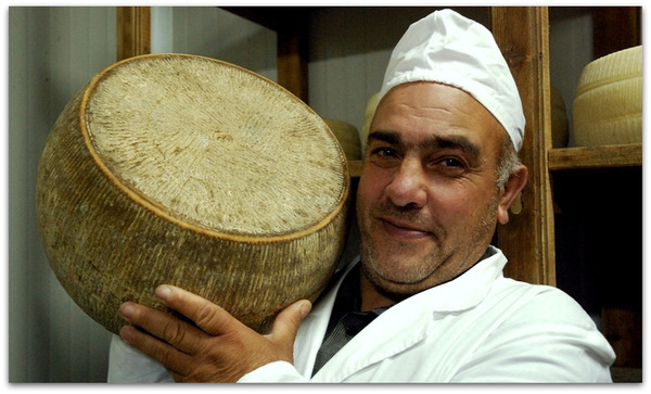 Sardegna protagonista agli Italian Cheese Awards 2024: il trionfo del Maimone di Erkìles