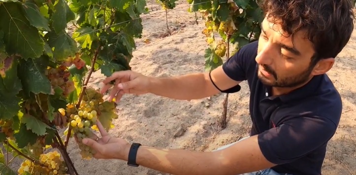 L'enologo sardo Andrea Pala con il vino di Culuccia sulle pagine del Times di Londra