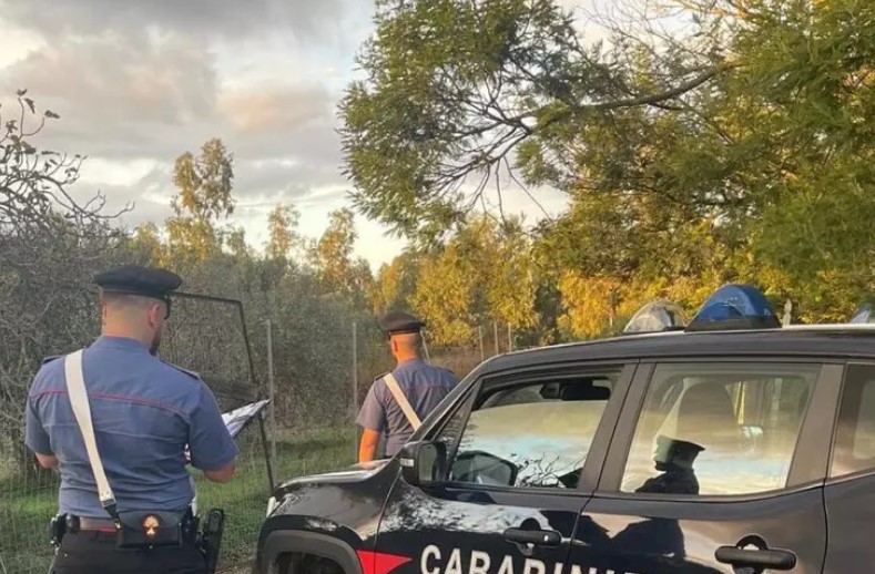 San Gavino, scoperta piantagione di marijuana: un arresto