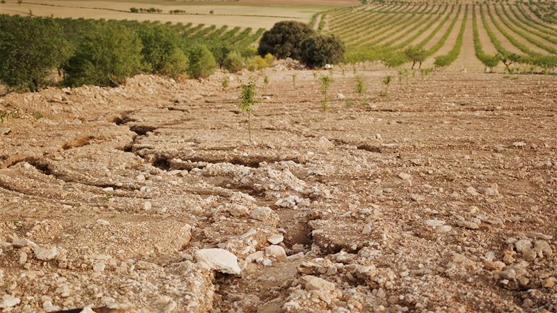 A Sassari il lancio del progetto MONALISA contro il degrado del suolo e la desertificazione