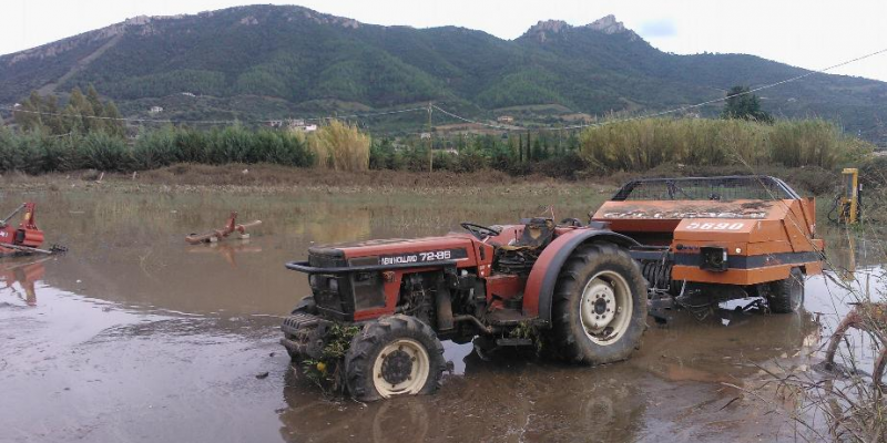 Siccità e alluvione in Sardegna: proroga al 15 novembre per le domande di indennizzo, ma gli agricoltori restano senza informazioni